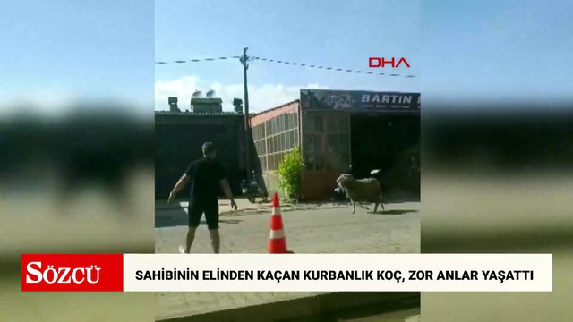 Sahibinin elinden kaçan kurbanlık koç, zor anlar yaşattı
