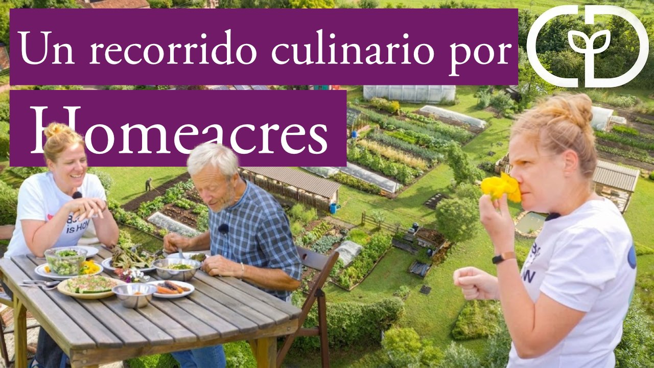 Cosecha creativa y cocina con Chantelle Nicholson, una de las chefs más innovadoras del Reino Unido