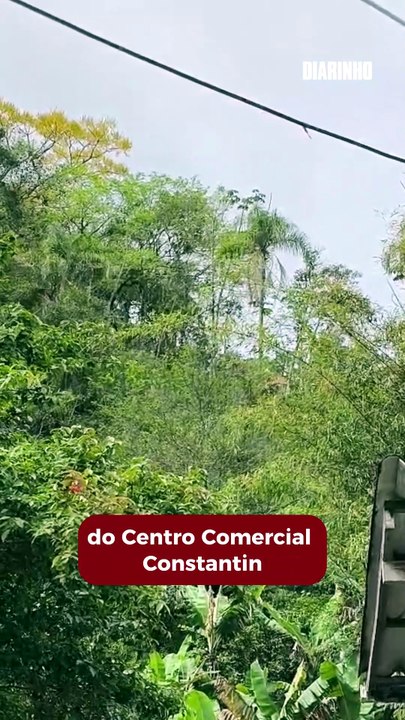 Dono de terreno denuncia invasão e desmatamento em área no Espinheiros