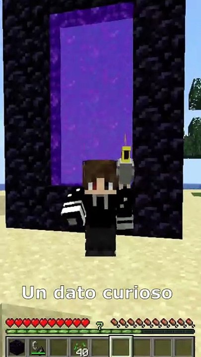 loro en el nether Dato Curioso