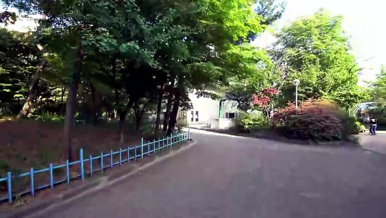 Seoul City Walk: Discover the Charm of Mok-dong District
