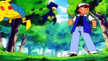 243