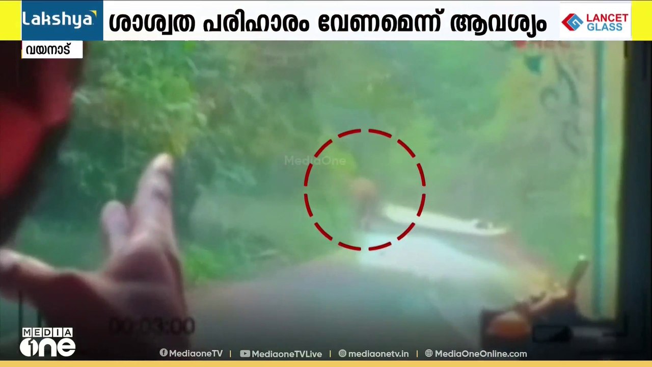 വയനാട്ടിൽ തുടർച്ചയായി കാട്ടാന ആക്രമണം ഉണ്ടാകുമ്പോഴും പ്രതിരോധ നടപടികൾ സ്വീകരിക്കാതെ വനം വകുപ്പ്