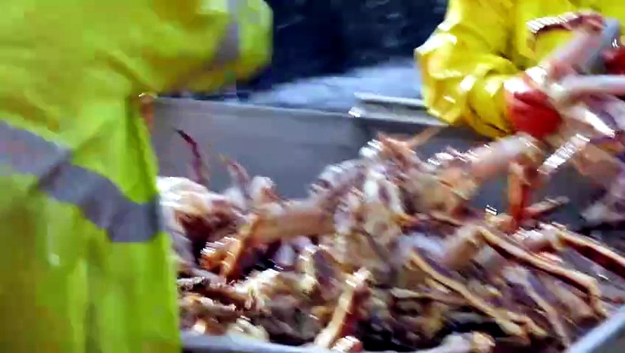 Deadliest Catch S22E02