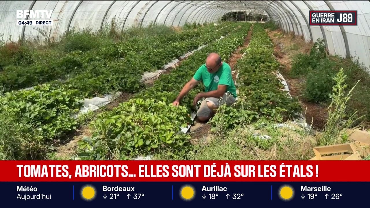 Focus Régions - 27/05
