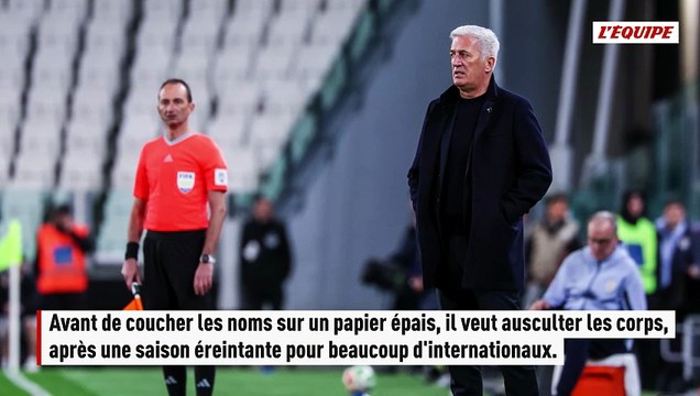 Luca Zidane présent, Ilan Kebbal absent... Les dernières indiscrétions de la liste de l'Algérie pour la Coupe du monde - Foot - Coupe du monde