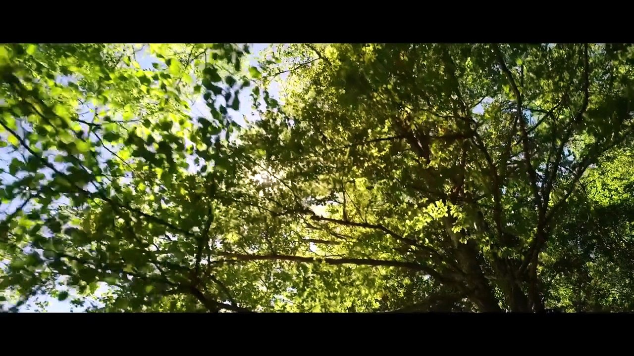 Mise au vert