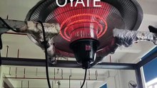 2100w carbon fiber heat lamps for ceilling heaters