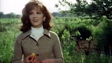 Romantic Movie 2023 Romance Advanture Horror full movie
