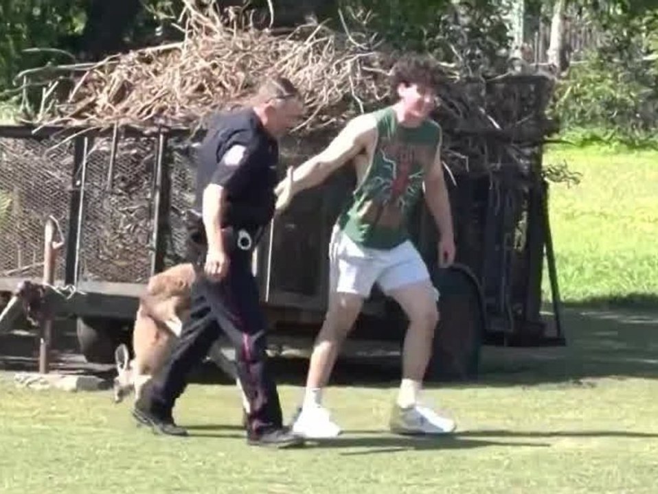 Tierischer Einsatz: Polizei in Texas jagt Känguru