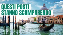 Questi posti stanno scomparendo