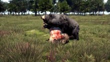 All Animals Fighting & Hunting Animations Far Cry 4 (REMAKE)