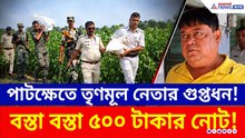 তৃণমূল নেতার গুপ্তধন! পাটক্ষেতে গর্ত করে লুকিয়ে রেখেছিল বস্তা বস্তা টাকা
