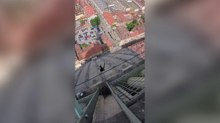 Un rondone resta impigliato nella rete della Mole Antonelliana: lo spettacolare salvataggio dei vigili del fuoco