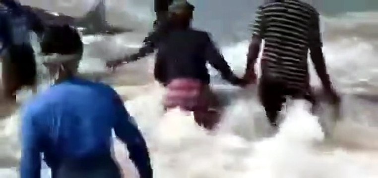 Fishermen unite to rescue stranded whale shark off Indian coasT