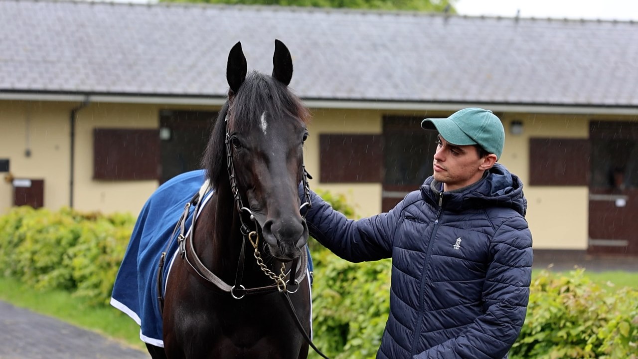 Breeders' Cup Breakthrough: Donnacha O'Brien Reaching Higher