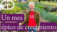 Recorrido del 30 de junio por el huerto sin cavar: calabazas increíbles, cosecha de papas y más