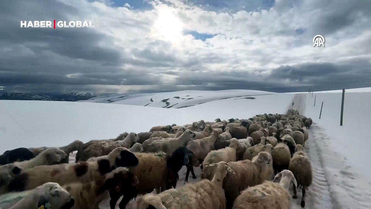 Yayla yolunda kar sürprizi