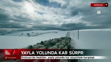 Erzincan'da besiciler, yayla yolunda kar sürpriziyle karşılaştı