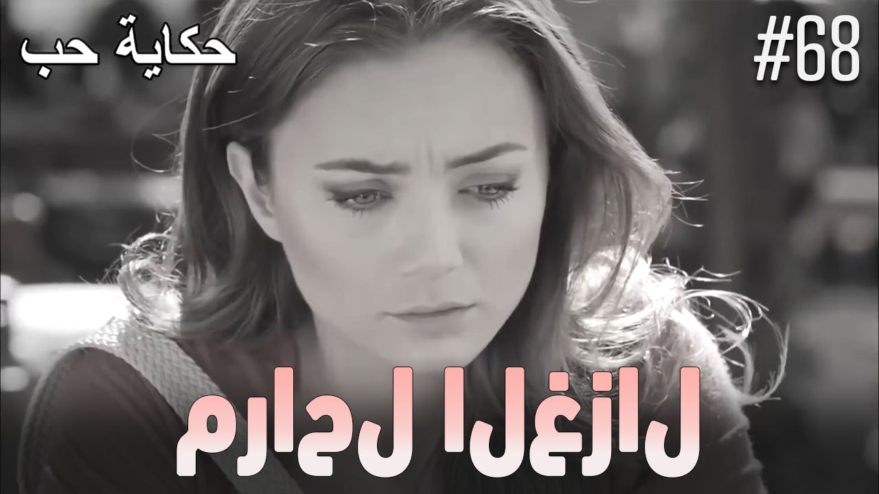 مشاهد الغزال