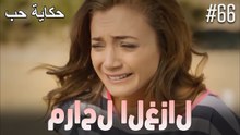 مشاهد الغزال