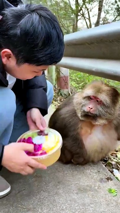 Chilling with the Chonkiest Monkey on the Road