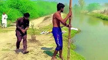 comedy and funny videos