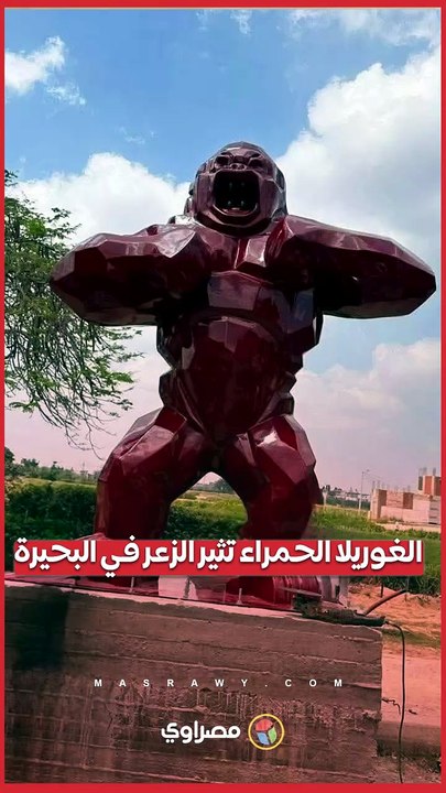 كواليس وجود تمثال “الغوريلا الحمراء” بالبحيرة وسر قرار الإزالة