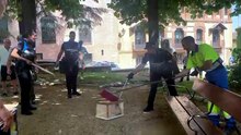 La Policía Local retira una culebra de escalera en la plaza Conde Cheste