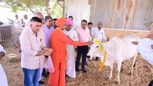 भादरिया में वंदे गंगा जल संरक्षण अभियान, गोशाला में किया पौधरोपण