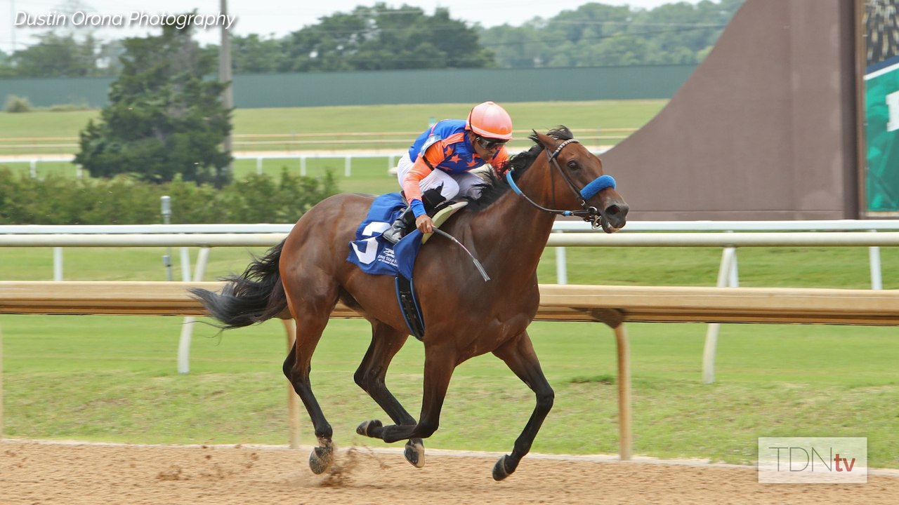 First-Time Stakes Winner Is Fastest Horse of the Week
