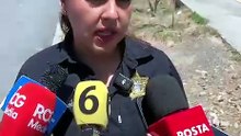 ¿Dónde está el oso? Intensifican búsqueda tras avistamientos al poniente de Saltillo