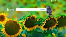 Bing   Internet Explorer fait le 04/07/2020