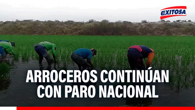 Arroceros continúan con paro nacional y rechazan llamado a diálogo de la PCM