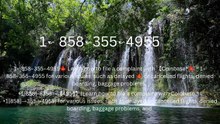 ⁂⁂≋ ¶ Immediately】 ⁂Coinbase® Toll free© helpline® Numbers Contact⁂ (24/7) Live Person Care)