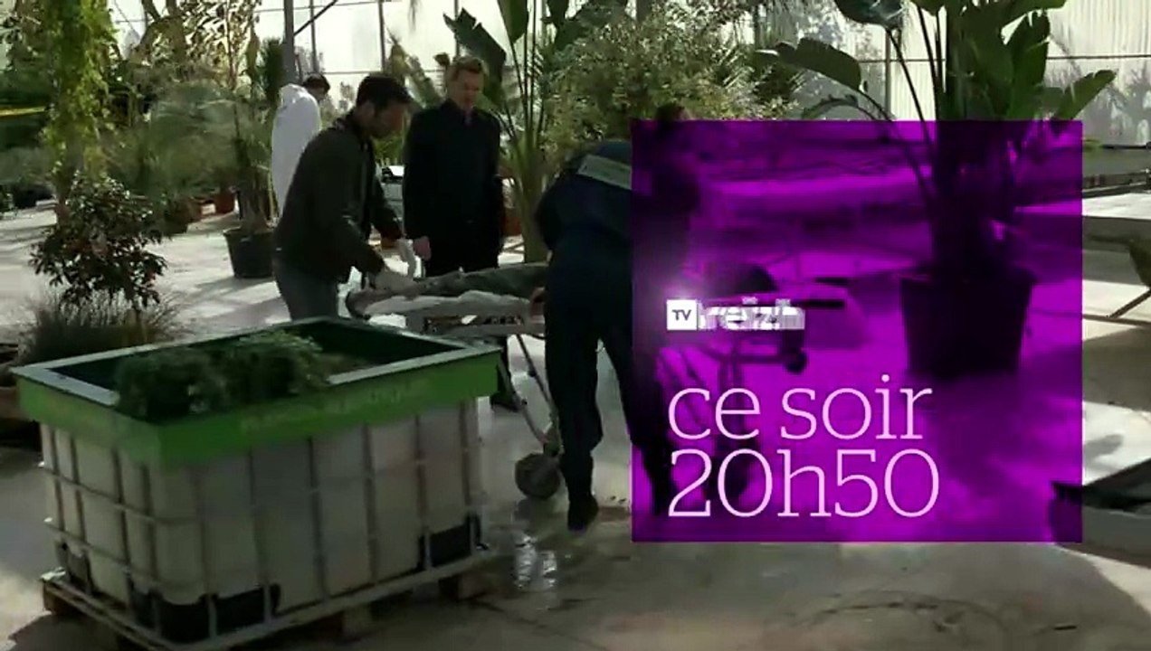 Section de recherches