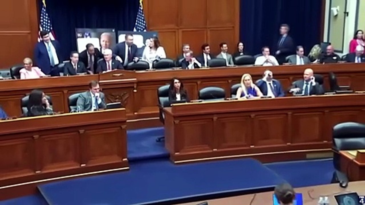 Lady BRAWL in Congress