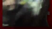 Violencia de género en Concepción, Tucumán: se colgó del auto de su expareja en movimiento, lo filmaron y le dictaron una perimetral.