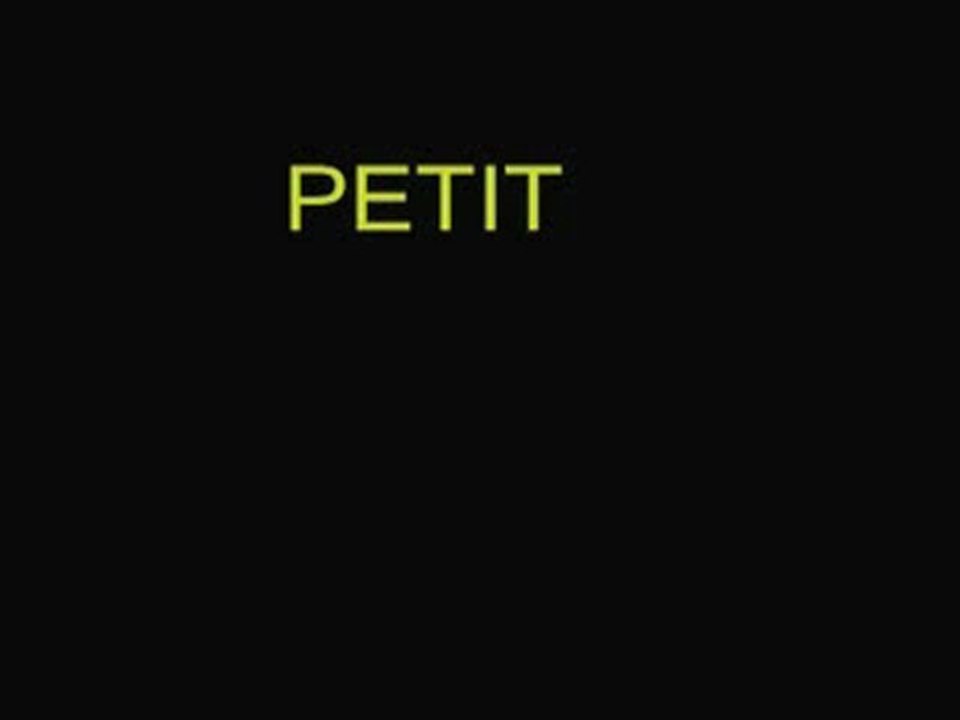 PETIT