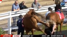 Terrifying moment British racehorse violently kicks out at female groom - before she was rushed to hospital
