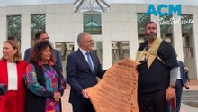 Lovett calls for national truth telling after 500km walk to Parliament