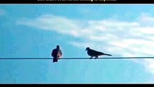I'm not belong!