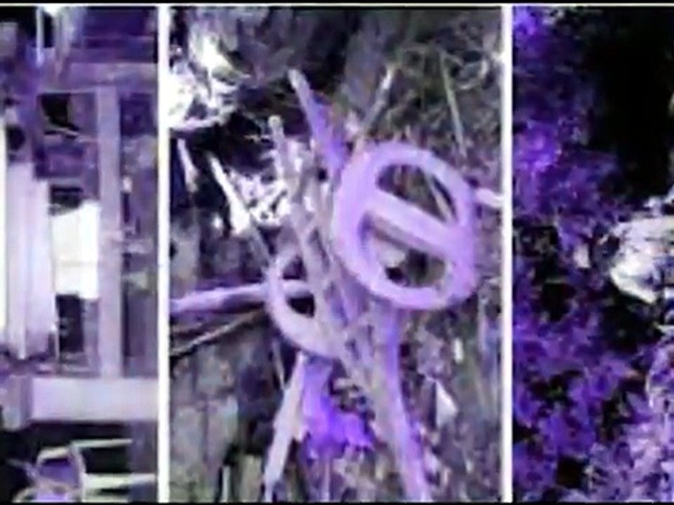 sirarelhos emigrantes