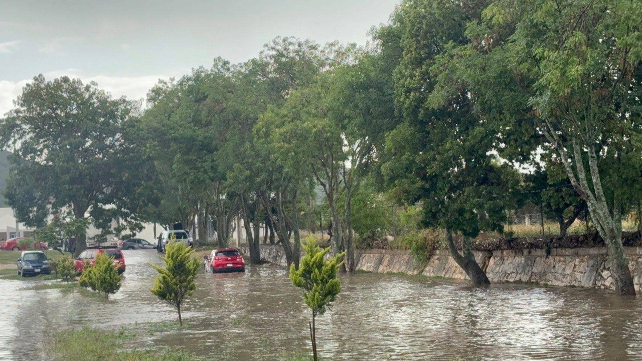 Lluvias en Chiapas recuperan causes invadidos por manchas urbanas | VIDEO