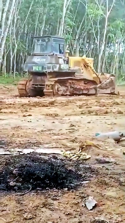 Heavy Machinery Action : Bulldozer Operations at Kalimantan Mining Site