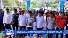 Baznas Gelar Program Kurban Berkah di 103 Titik Balai Ternak di Indonesia | SAPA PAGI