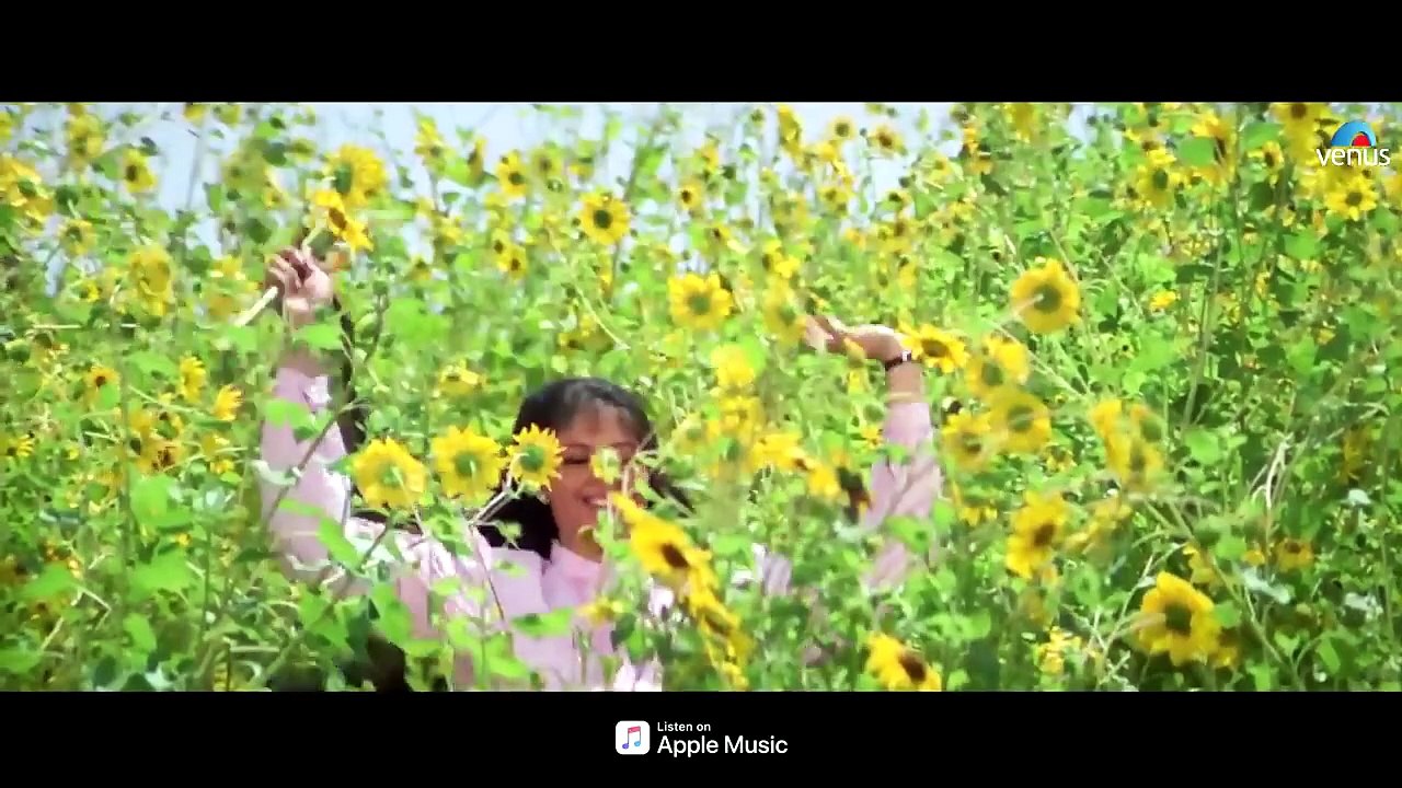 Kaisa Lagta Hai - 4K Video