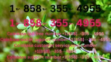 {{BEEN}}≋ F⇢ulL ⁂ 《||Coinbase®||》CUSTOMER CARE©SUPPoRT℗ Phone NuMber