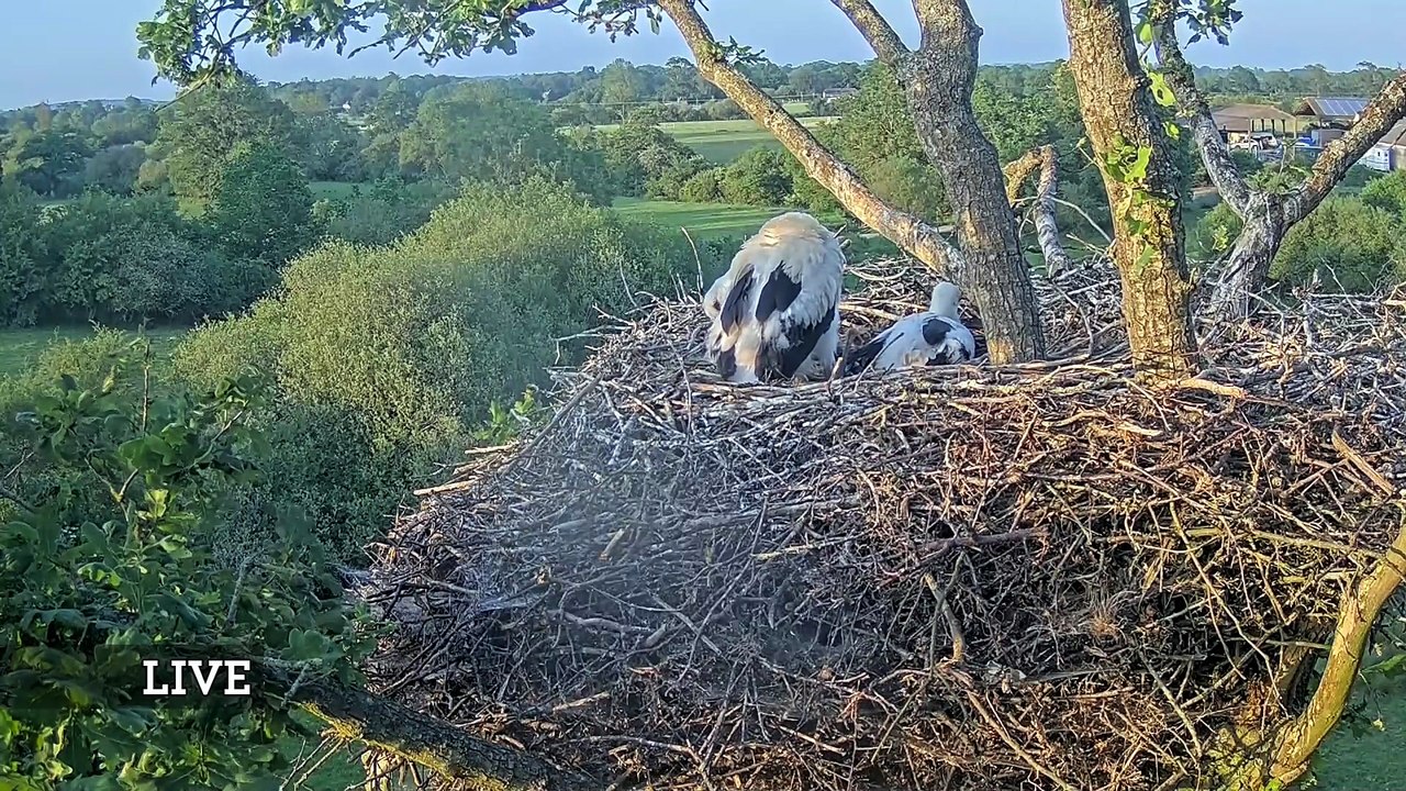 Springwatch S21E03