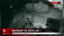 Bayburt’ta köye inen aç ayı kurdun tavşanı kovaladığı noktada yiyecek aradı